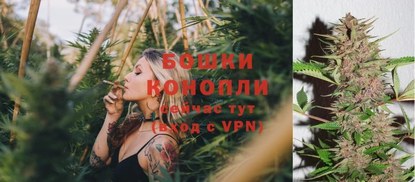 герыч Мегион