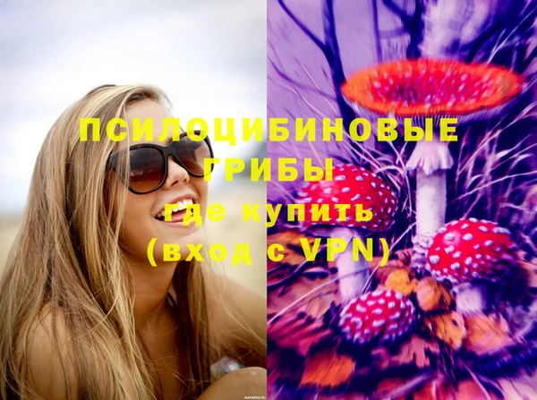 герыч Мегион