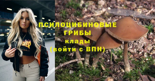 марки lsd Медногорск