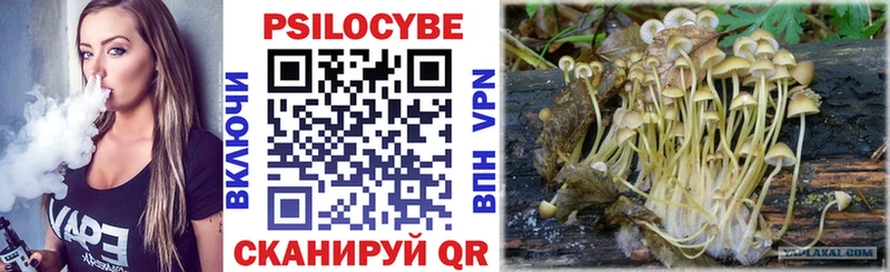 Псилоцибиновые грибы MAGIC MUSHROOMS  Хасавюрт 